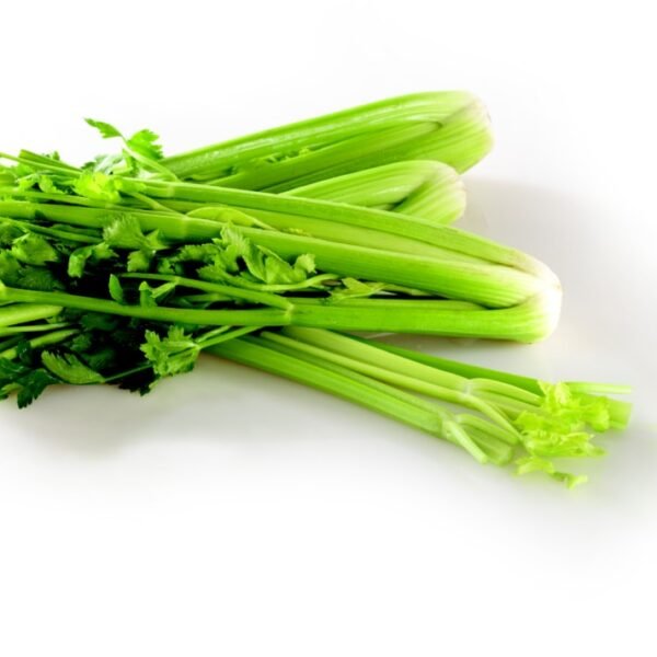 Celery Sticks