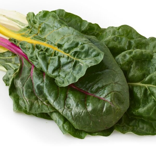Organic Rainbow Chard
