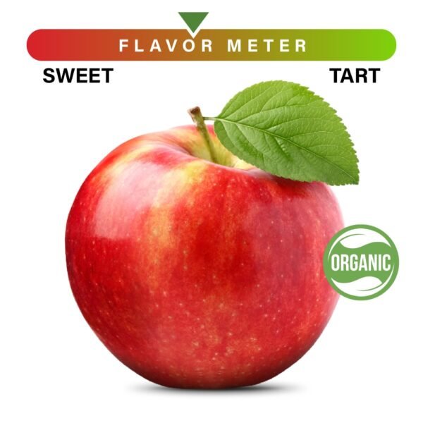 Organic Large Honeycrisp Apple - Each