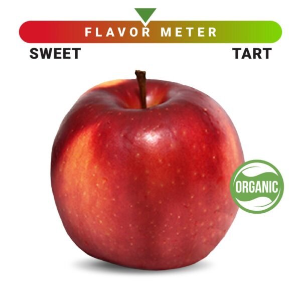 Organic Large Cosmic Crisp Apple - Each