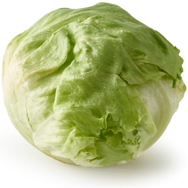 Organic Iceberg Lettuce
