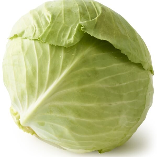 Organic Green Cabbage