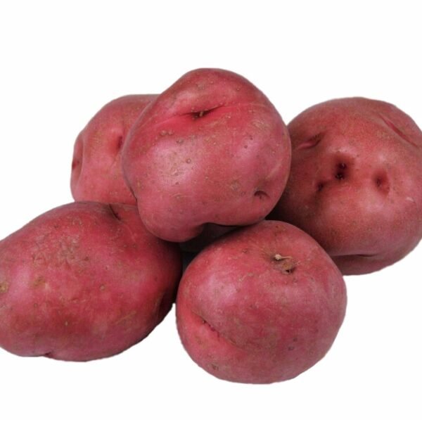Organic Red Potatoes