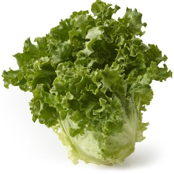 Organic Green Leaf Lettuce