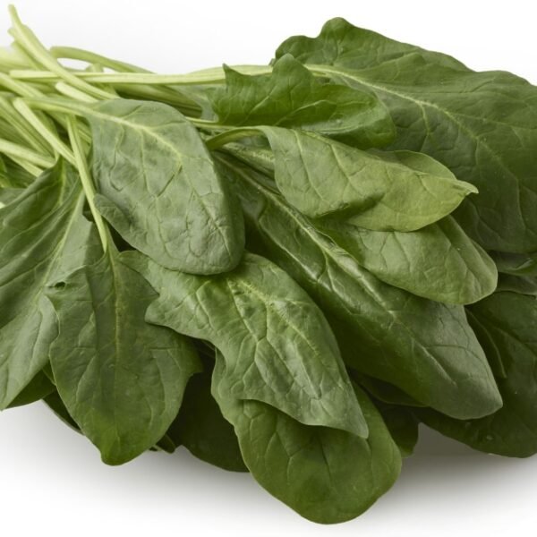 Organic Spinach