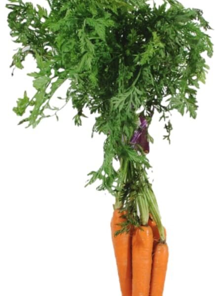 Organic Carrots Bunch