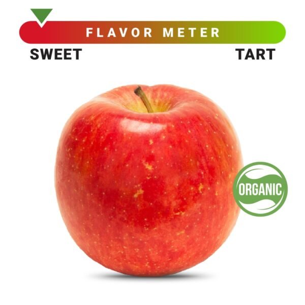 Organic Fuji Apple – Each