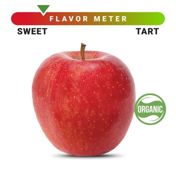 Organic Large Gala Apple – Each