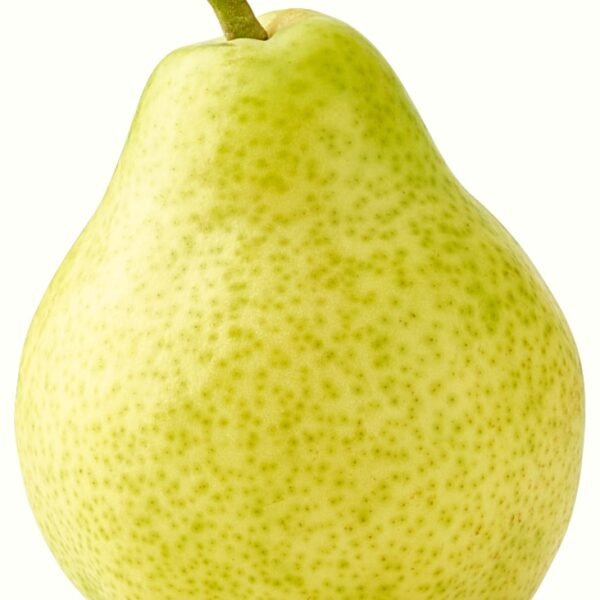 Organic Fresh Large Bartlett Pear - Each
