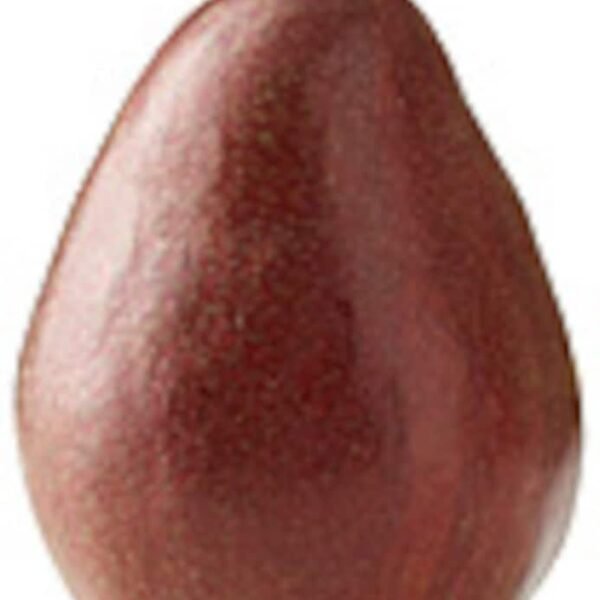 Organic Fresh Large Red Pear - Each