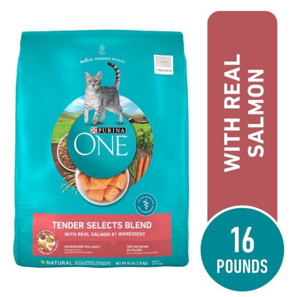 Purina ONE Tender Selects Adult Natural Dry Cat Food Real Salmon
