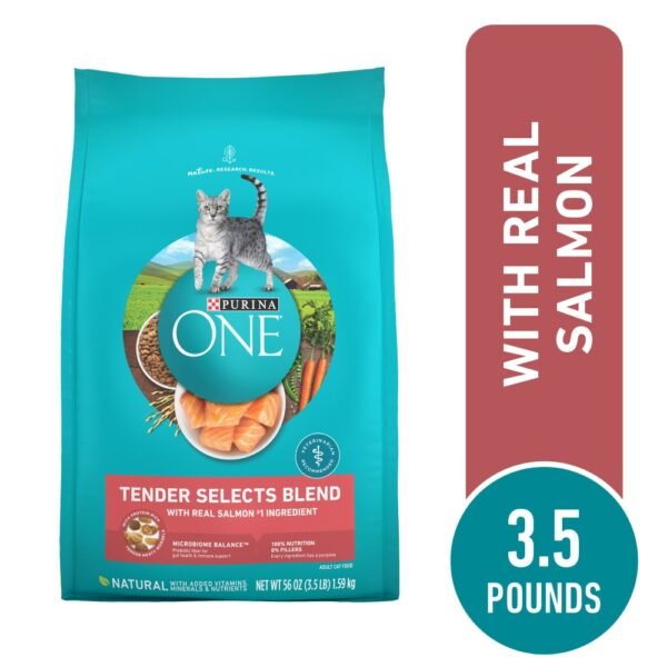 Purina ONE Tender Selects Adult Natural Dry Cat Food Real Salmon