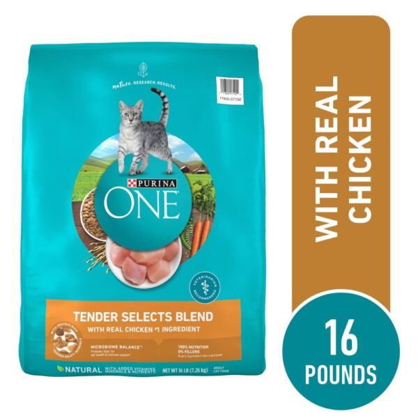 Purina ONE Tender Selects Adult Natural Dry Cat Food Real Chicken