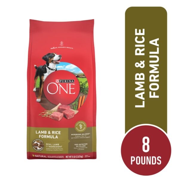 Purina ONE High Protein Adult Dry Dog Food Lamb & Rice