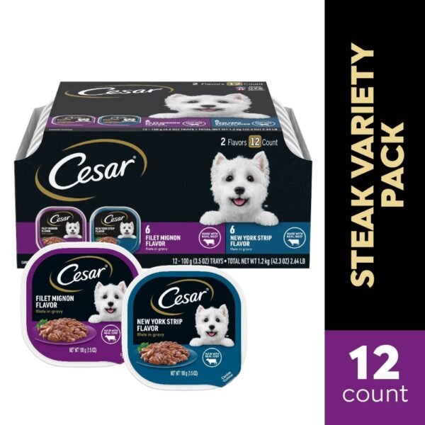 Cesar Adult Soft Wet Dog Food Filet Mignon & New York Strip Filets in Gravy Variety Pack