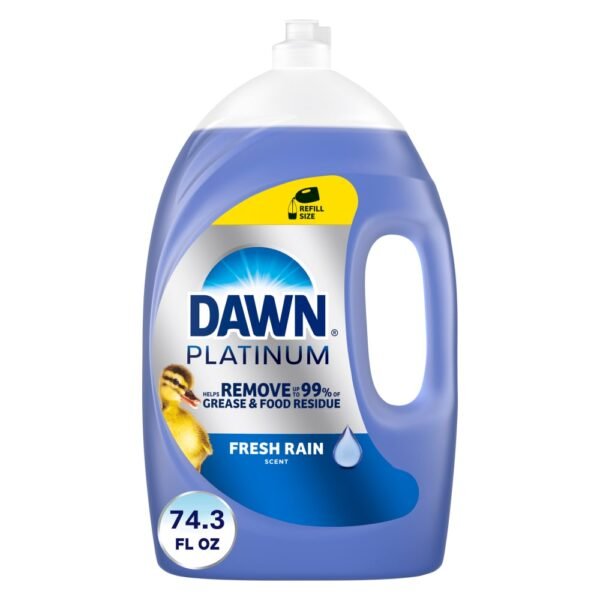 Dawn Platinum, Fresh Rain Scent, Liquid Dish Soap
