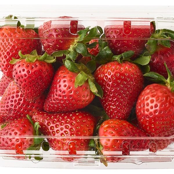 Fresh Organic Strawberries