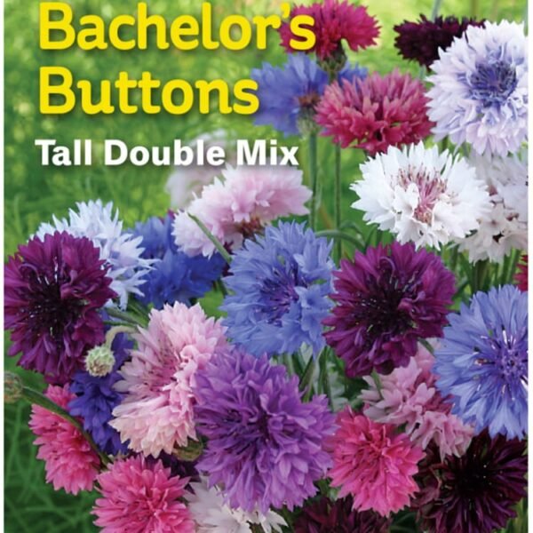 Burpee® Bachelor Button Tall Double Mix Seeds
