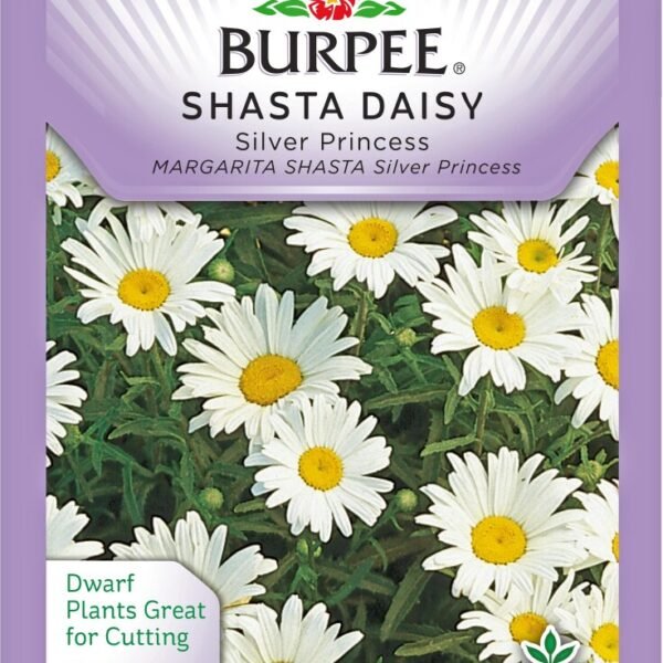 Burpee® Shasta Daisy Silver Princess Seeds - White/Yellow