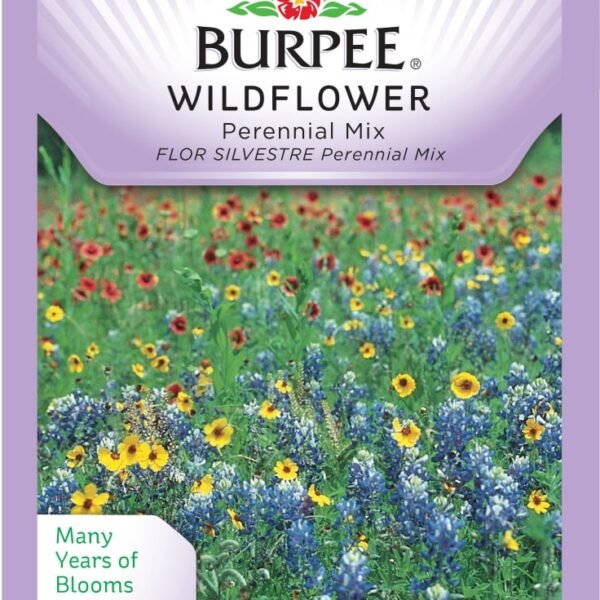Burpee Perennial Mix Wildflower Seeds