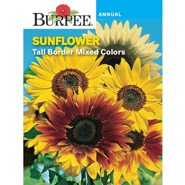 Burpee Sunflower Tall Border Mix Seeds