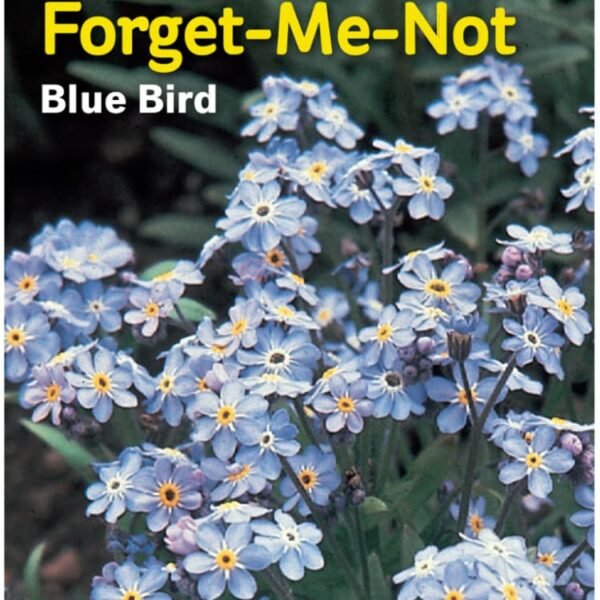 Burpee® Forget-Me-Not Blue Bird Seeds
