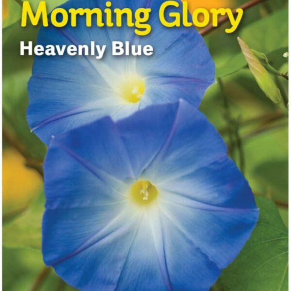 Burpee® Morning Glory Heavenly Blue Seeds