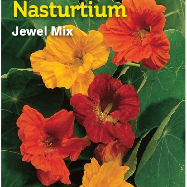 Burpee® Nasturtium Jewel Mix Seeds