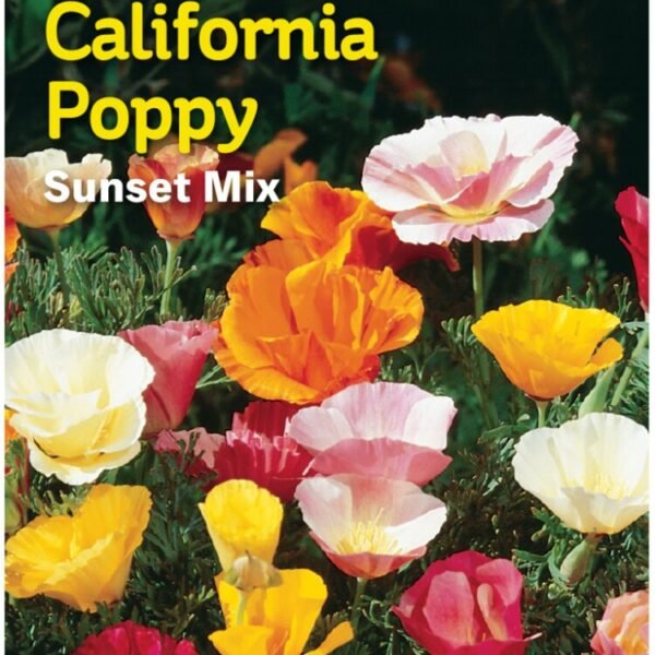Burpee® Sunset Mix California Poppy Seeds