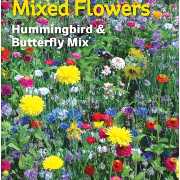 Burpee® Hummingbird and Butterfly Wildflower Seeds