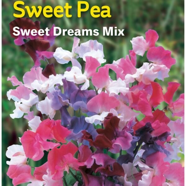 Burpee Sweet Pea Sweet Dreams Seed Mix