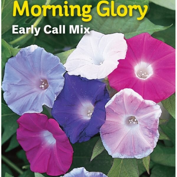 Burpee Morning Glory Early Call Mix Seeds