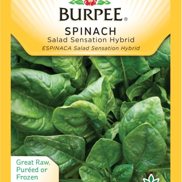 Burpee Salad Sensation Hybrid Spinach Seeds