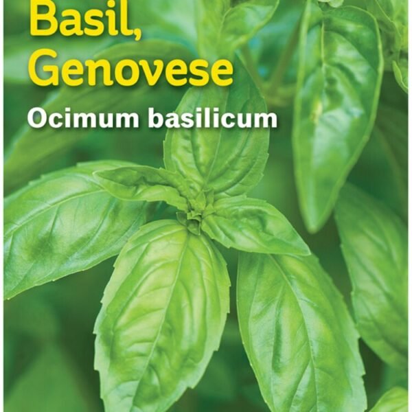 Burpee® Genovese Basil Seeds - Green