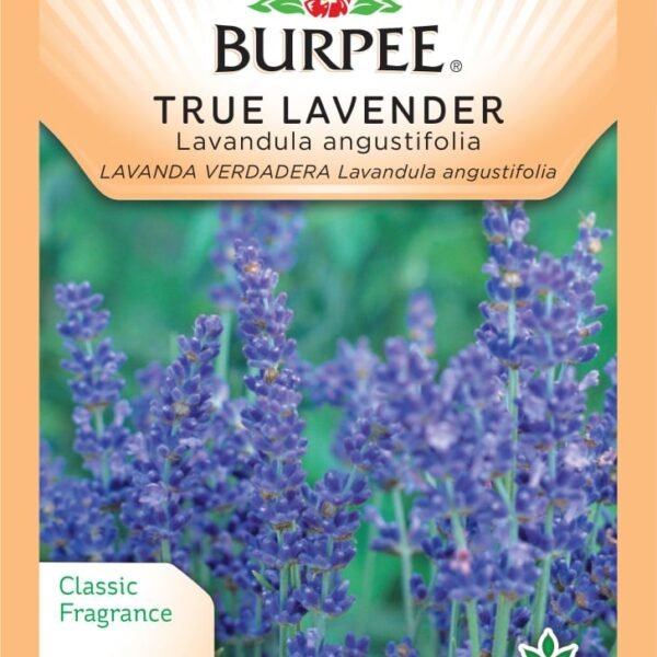 Burpee® Herb True Lavender Lavandula Angustifolia Seeds