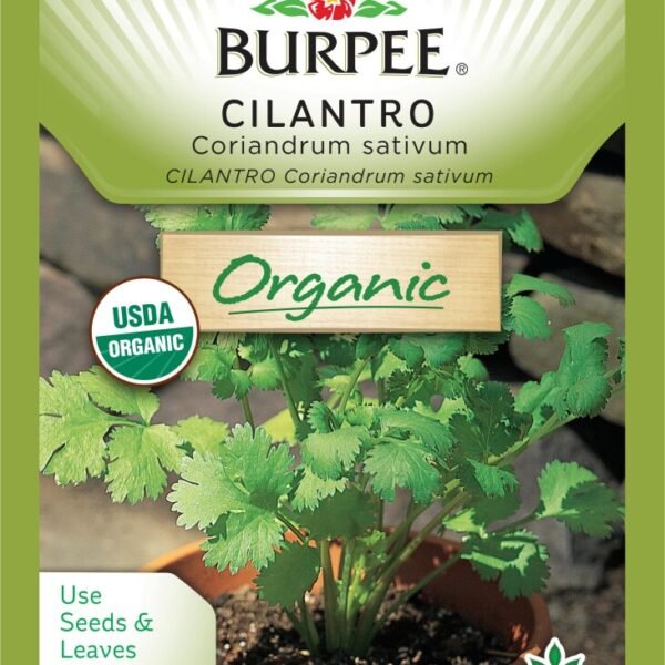 Burpee® Organic Cilantro Seeds