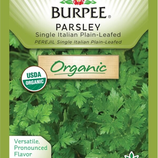 Burpee Organic Herb Parsley Single Italian Plain-Leafed