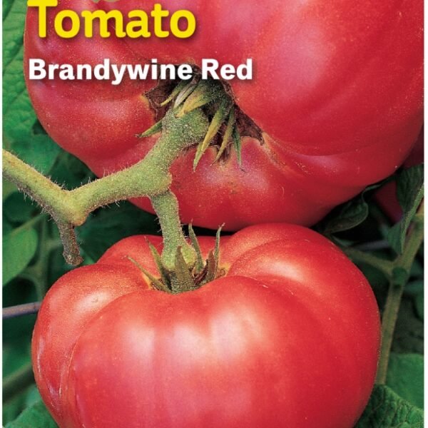 Burpee® Organic Brandywine Tomato Seeds - Red