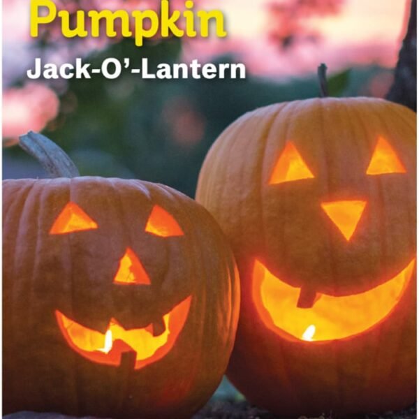 Burpee® Jack O' Lantern Pumpkin Seeds