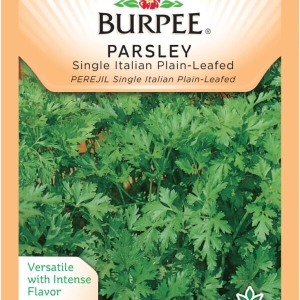 Burpee® Single Italian Plain-Leaf Parsley Seeds