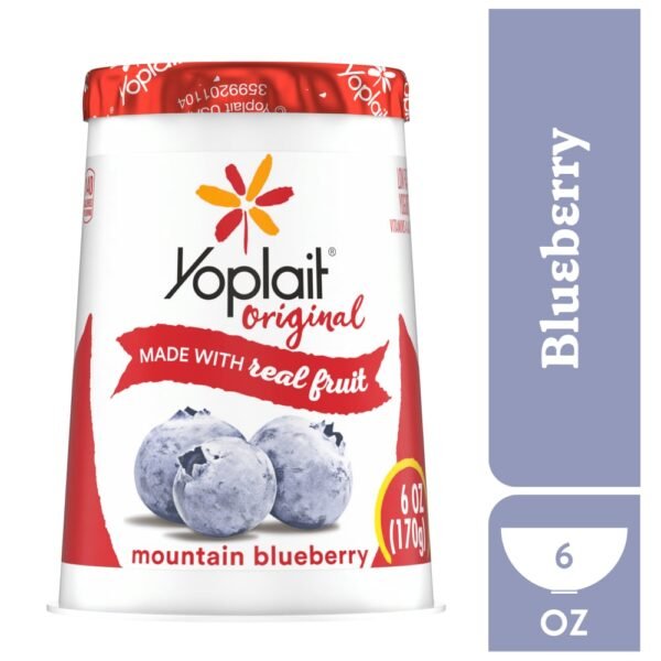 Yoplait Original Low Fat Mountain Blueberry Yogurt Cup