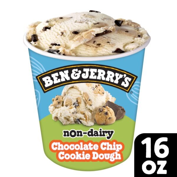Ben & Jerry's Non-Dairy Chocolate Chip Cookie Dough Frozen Dessert