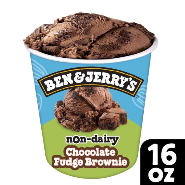 Ben & Jerry's Non-Dairy Chocolate Fudge Brownie Frozen Dessert