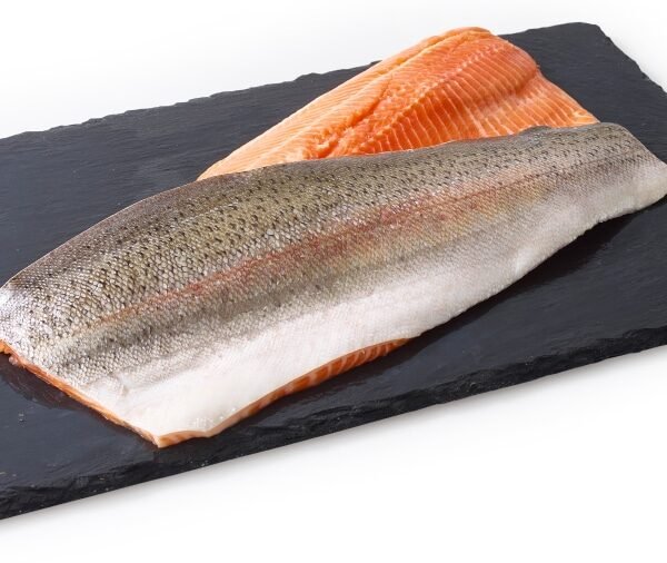 Fresh Steelhead Trout Fillet
