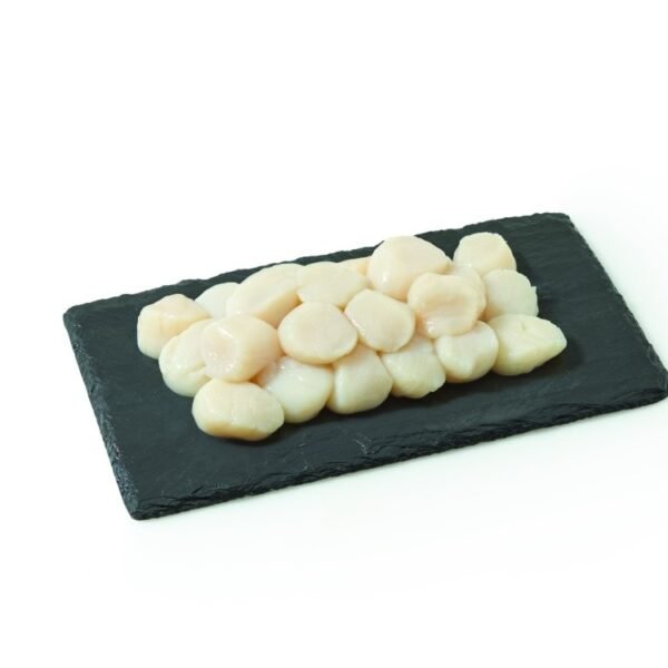Wild Caught Sea Scallops 10/20