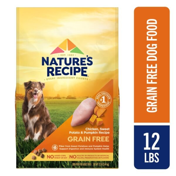 Nature's Recipe® Grain Free Adult Dry Dog Food Chicken, Sweet Potato & Pumpkin