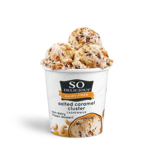 So Delicious Dairy Free Salted Caramel Cluster Cashew Milk Frozen Dessert Carton