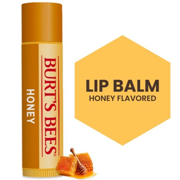 Burt's Bees Honey Moisturizing Lip Balm