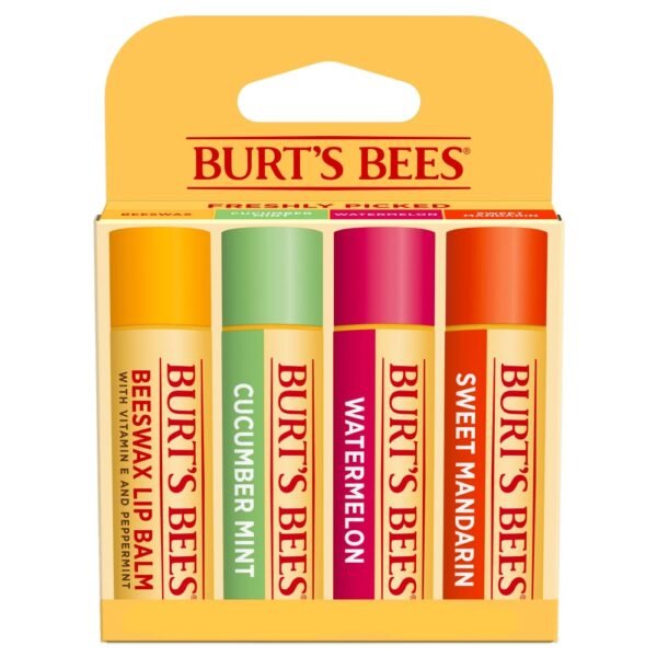 Burt's Bees Flavored Moisturizing Lip Balm Pack