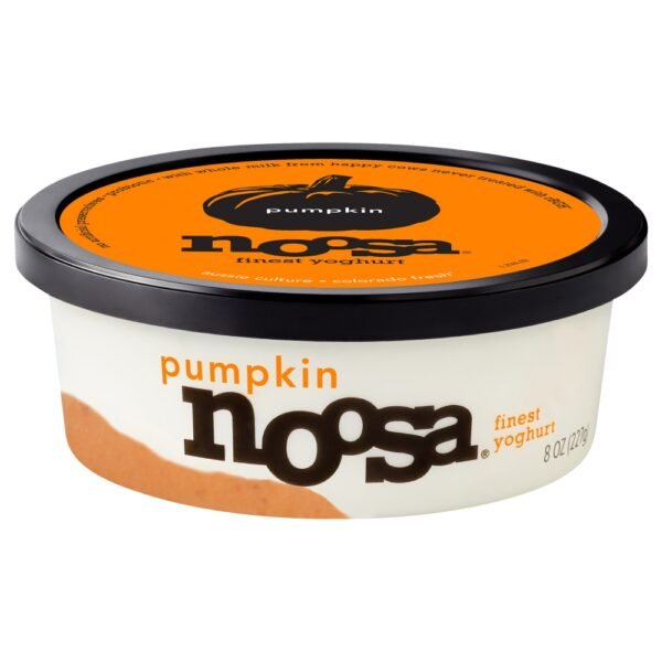 Noosa® Pumpkin Yogurt Cup